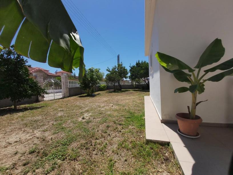 Konstantinos Apartments Ammoudia Exteriér fotografie